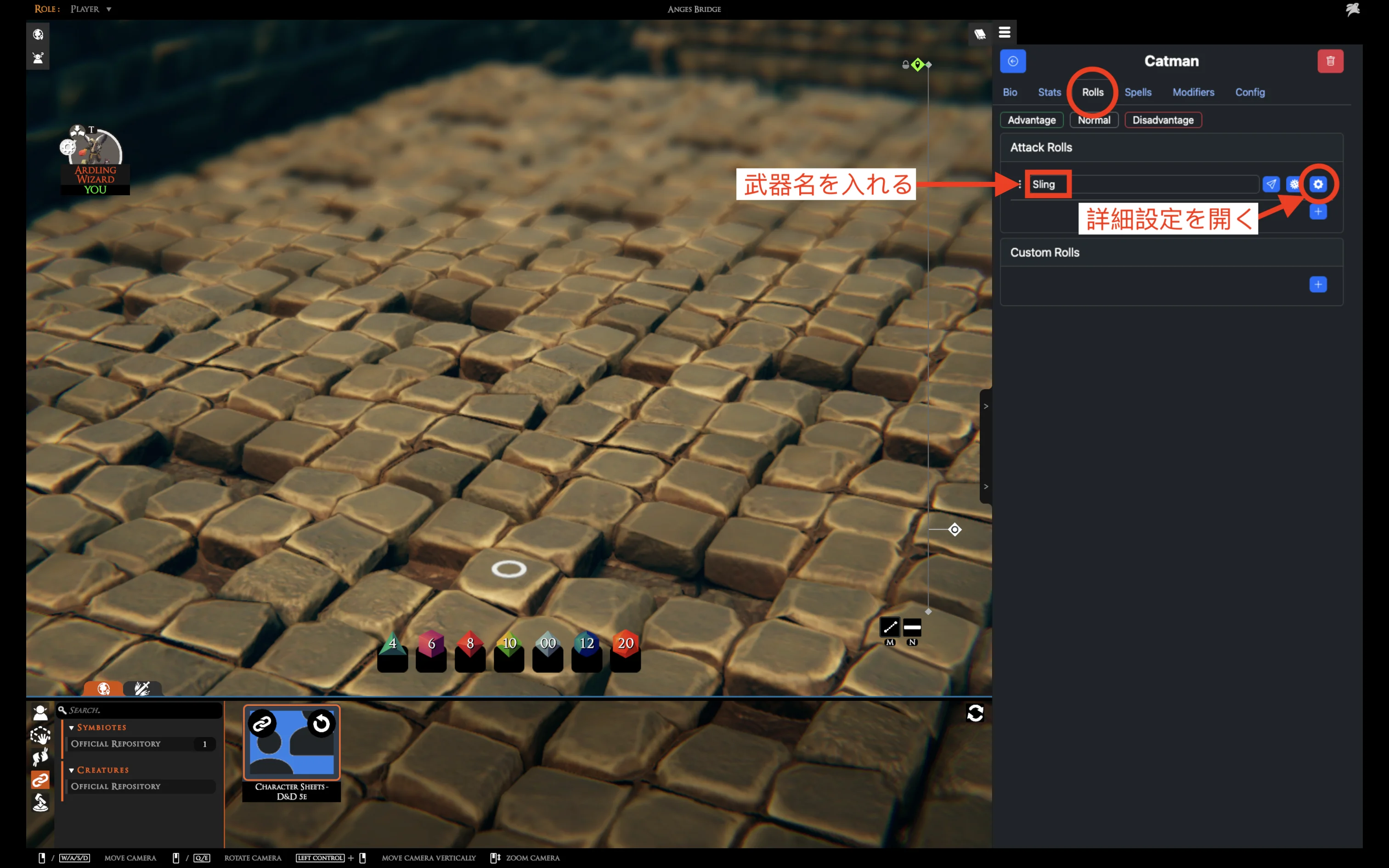 Character Sheet - Rolls 1